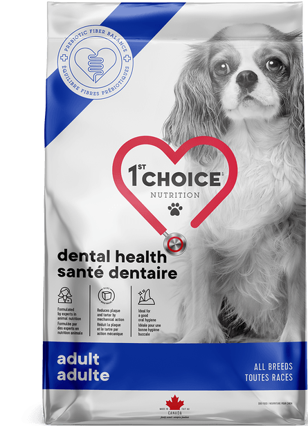 1st Choice Chien Dentaire