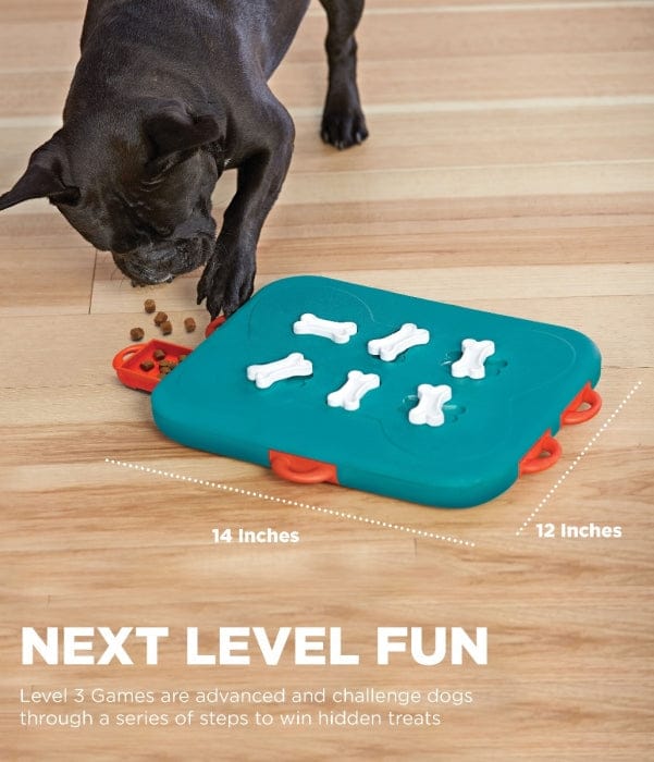Bol Interactif Casino